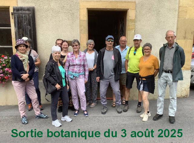 Lien vers la liste des plantes vues le 3 août 2025